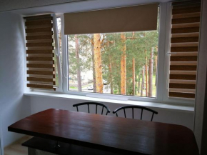 Light one room apartment, Visaginas